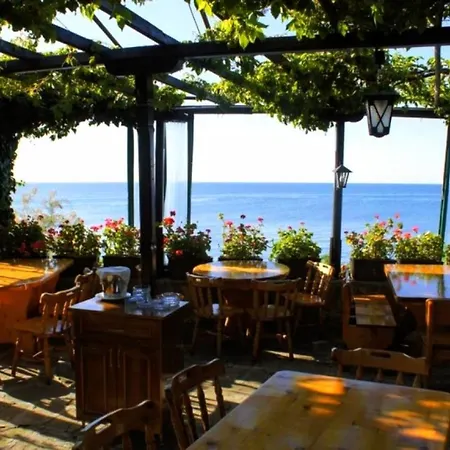 Apollon-7 Family * Nesebar